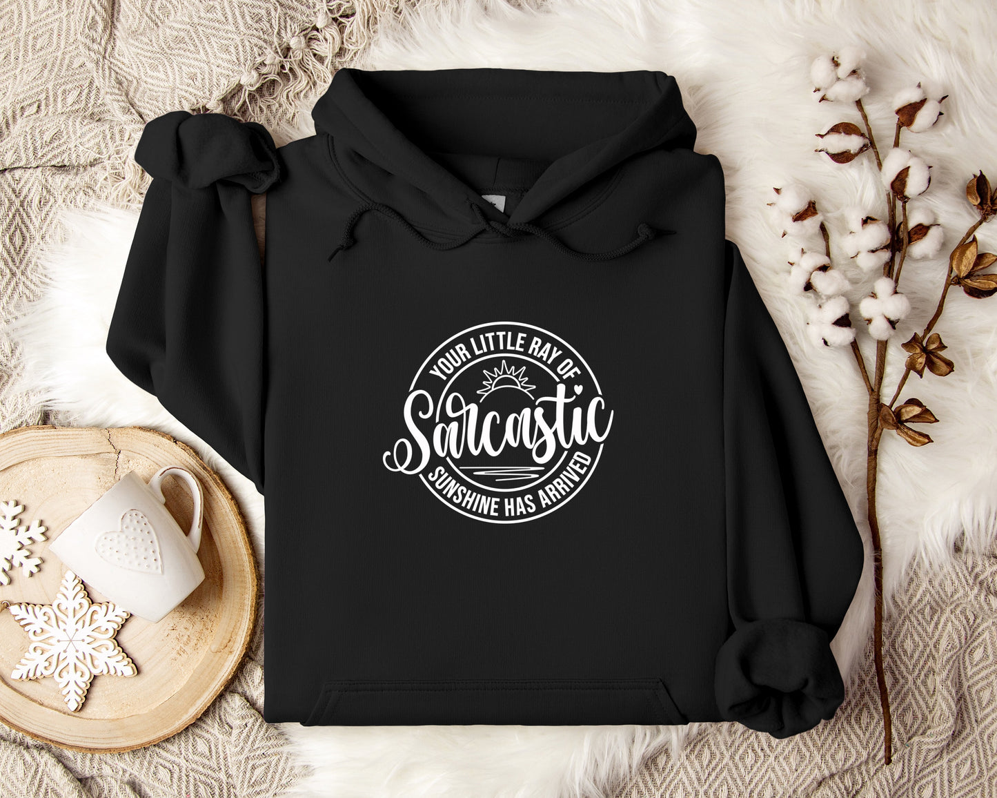 Your Little Ray of Sarcastic Sunshine Hoodie