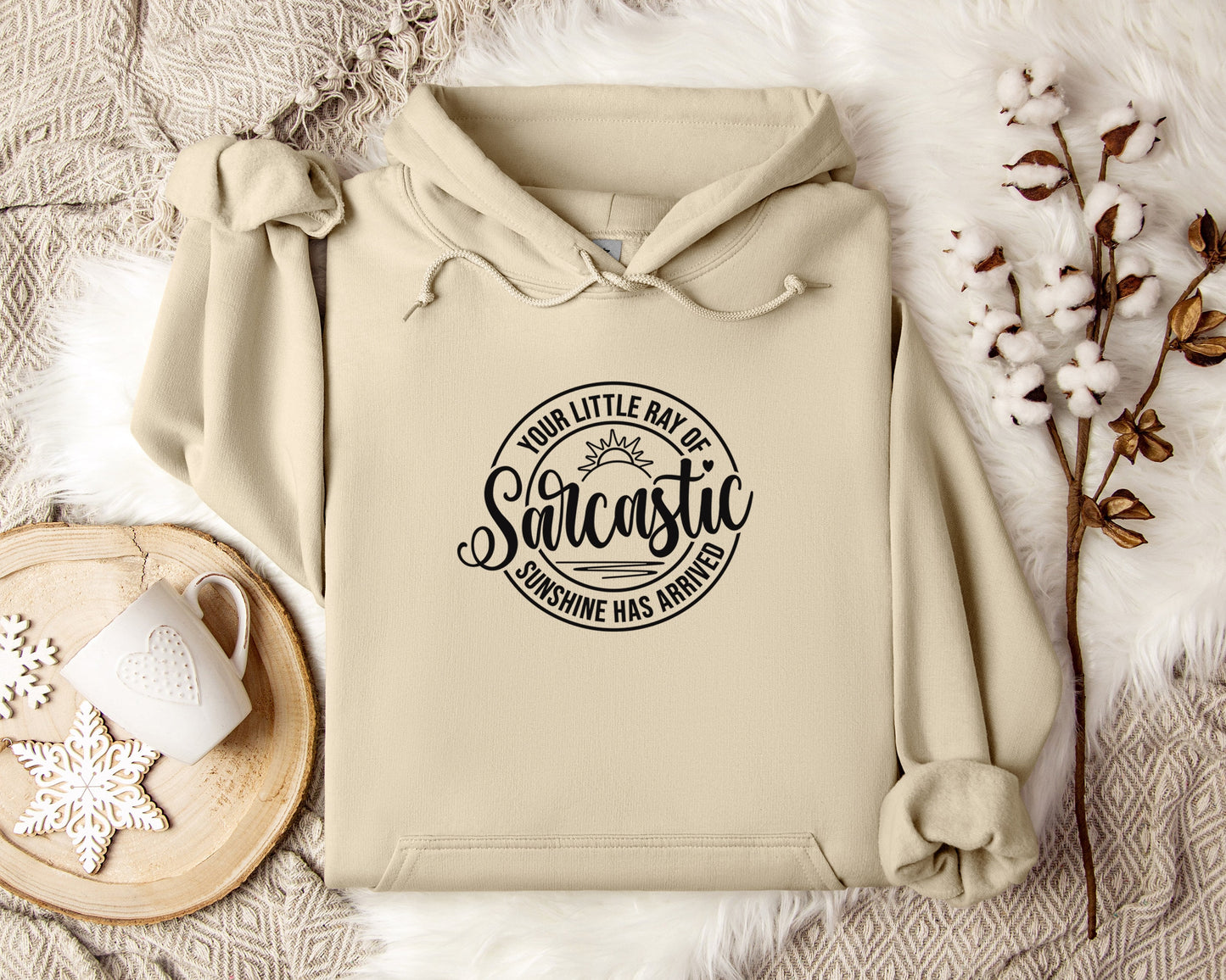 Your Little Ray of Sarcastic Sunshine Hoodie