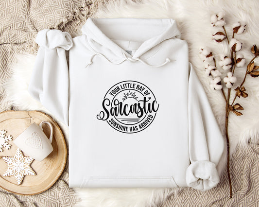 Your Little Ray of Sarcastic Sunshine Hoodie