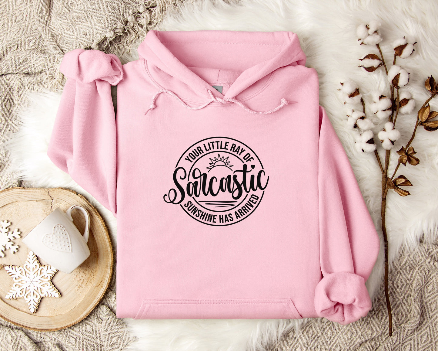 Your Little Ray of Sarcastic Sunshine Hoodie